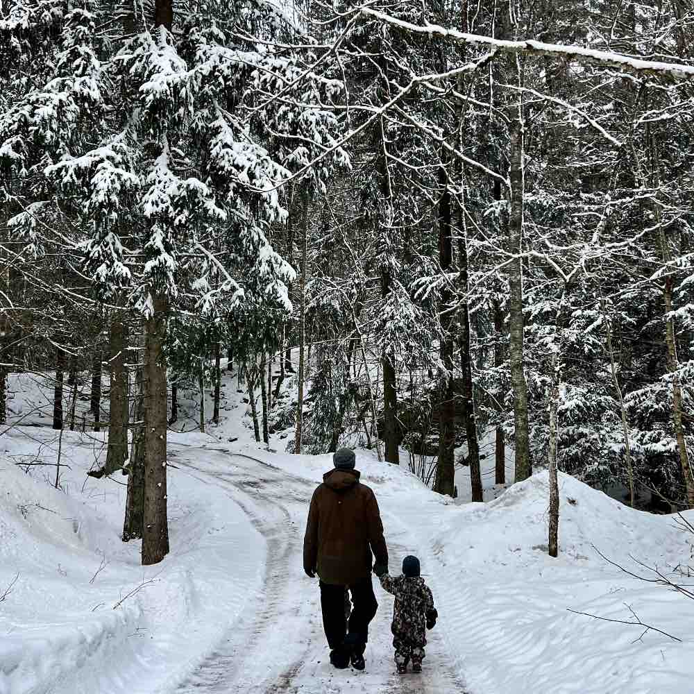 skovtur og sne