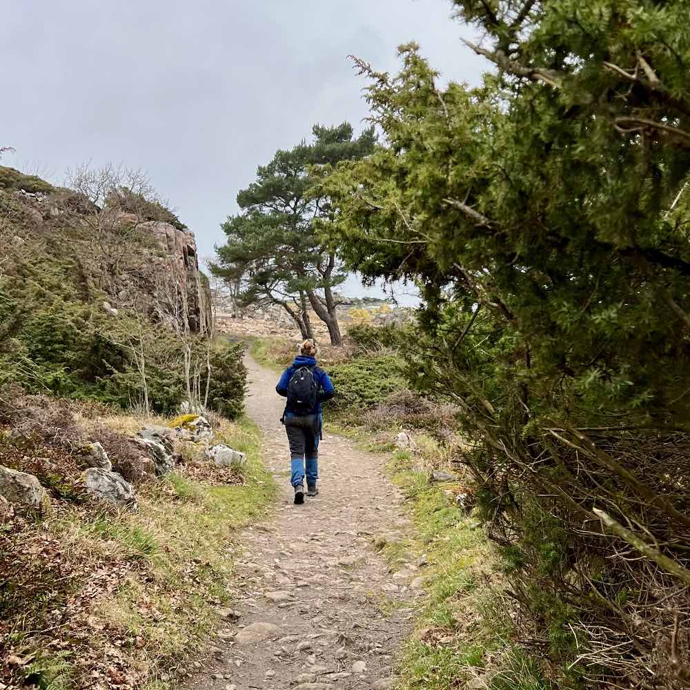 vandretur kyststrækningen bornholm