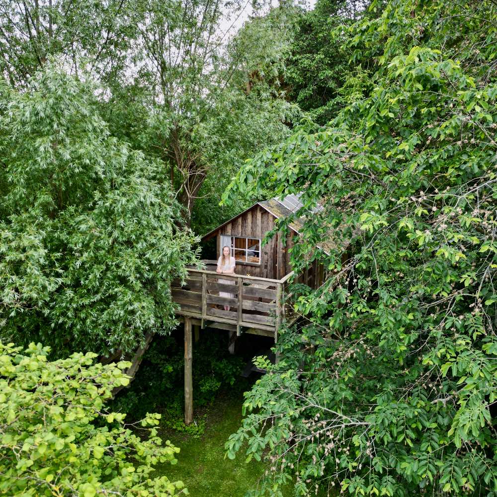 treehouse b&B