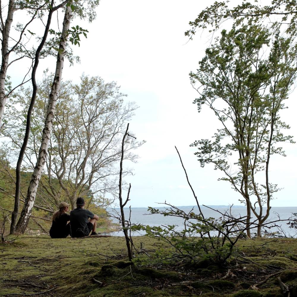 vandretur på Falster corselitze skov