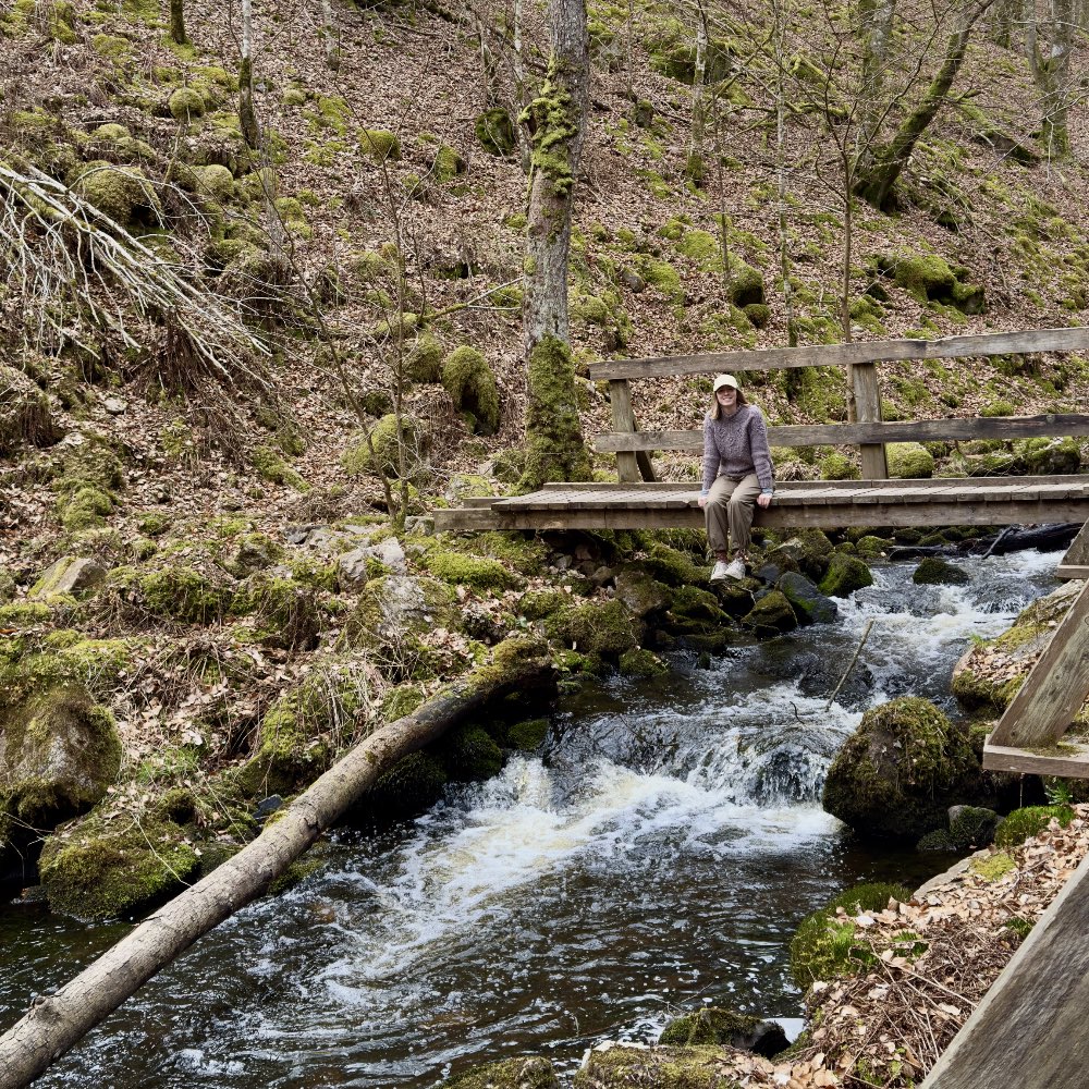 vandretur i Söderåsens Nationalpark