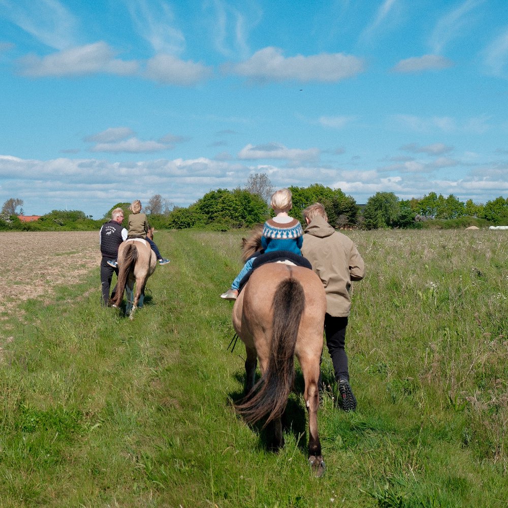 ridetur for børn på endelave