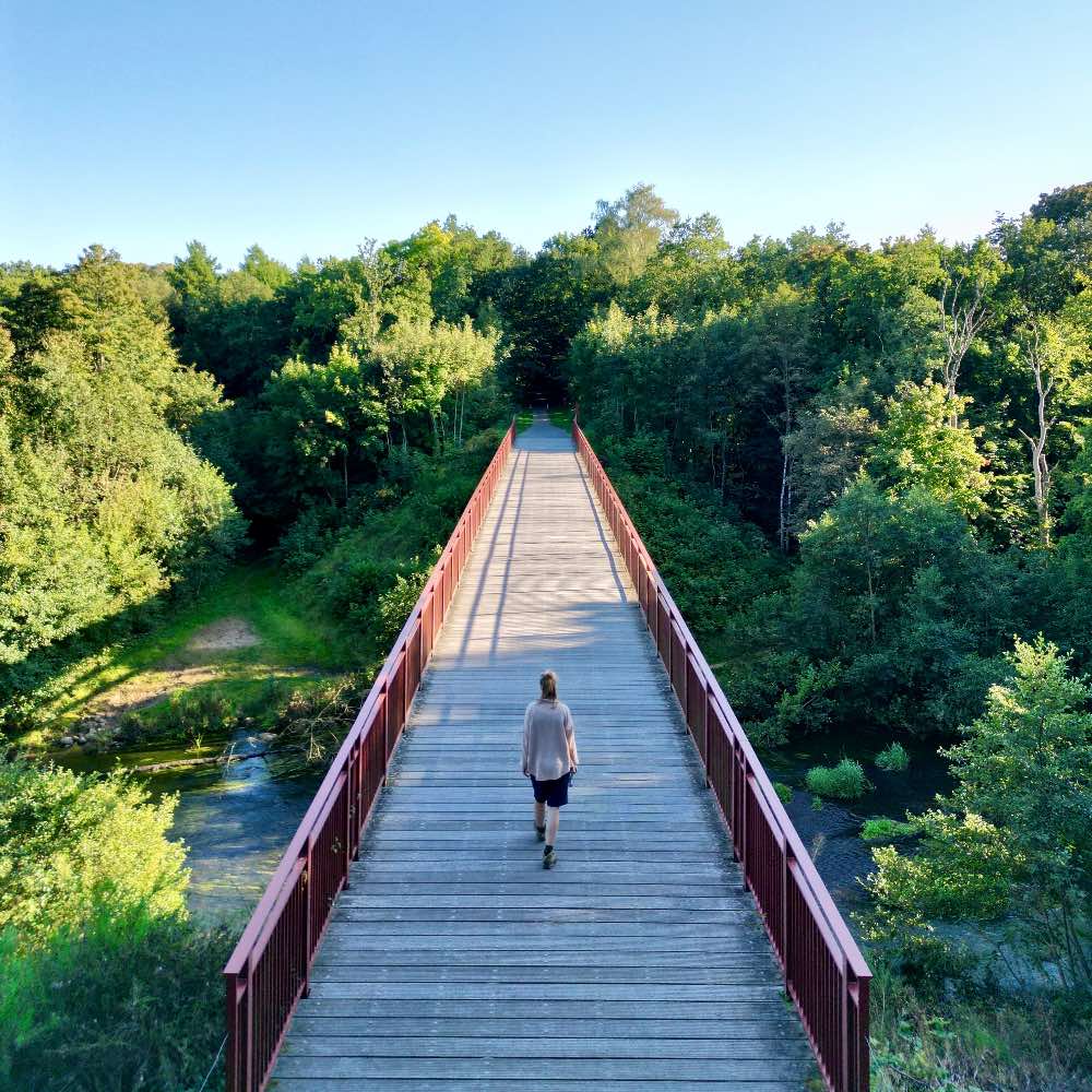 Den Genfundne Bro ved Vestbirk