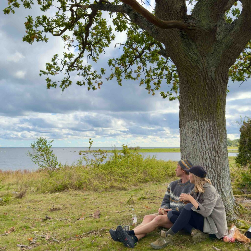 sæl safari ved stufvenäs gästgifveri