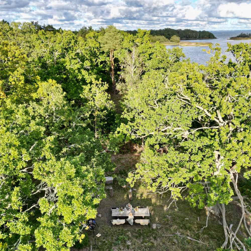 the edible country i småland