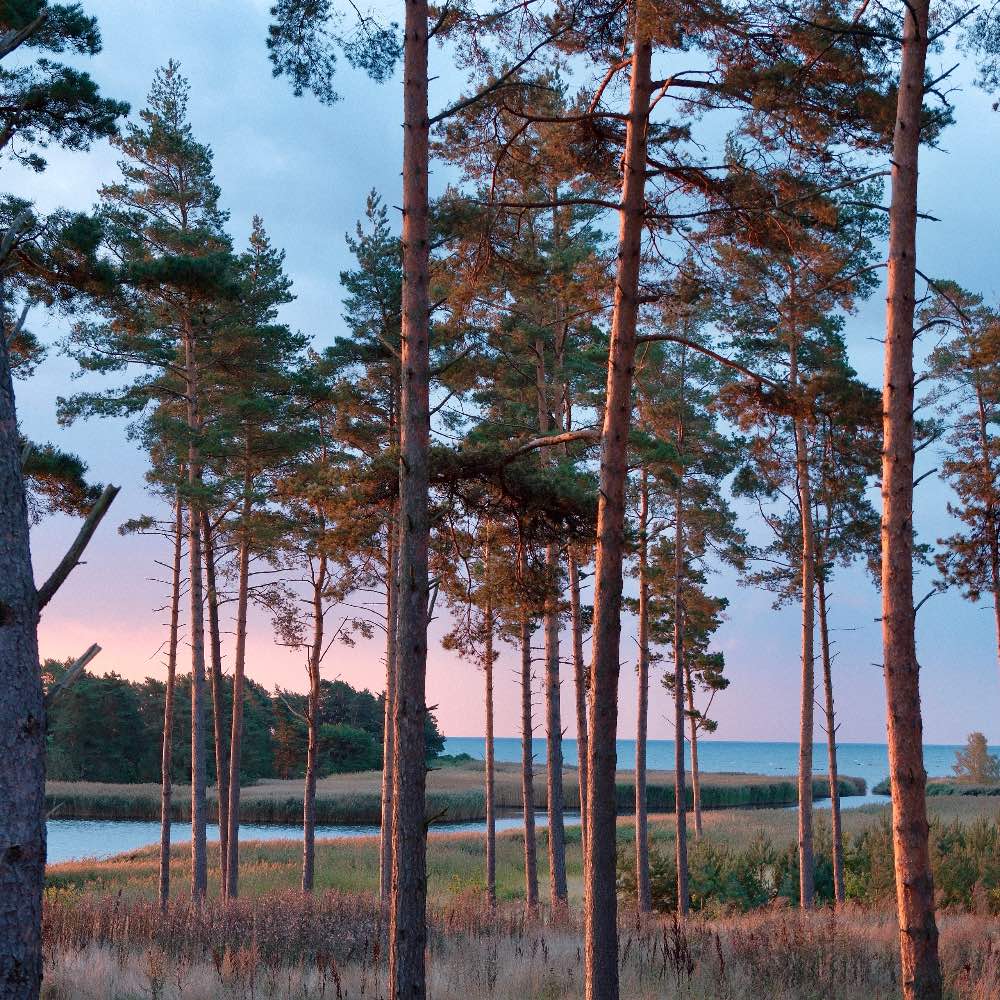 udsigt over kalmarsund fra stuvenäs gästgifveri