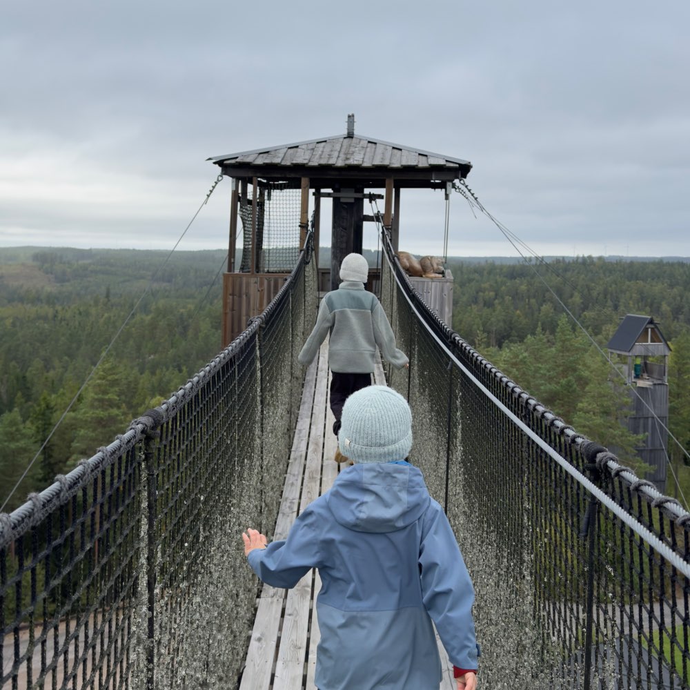Sweden Zipline i Småland - Europas længste zipline